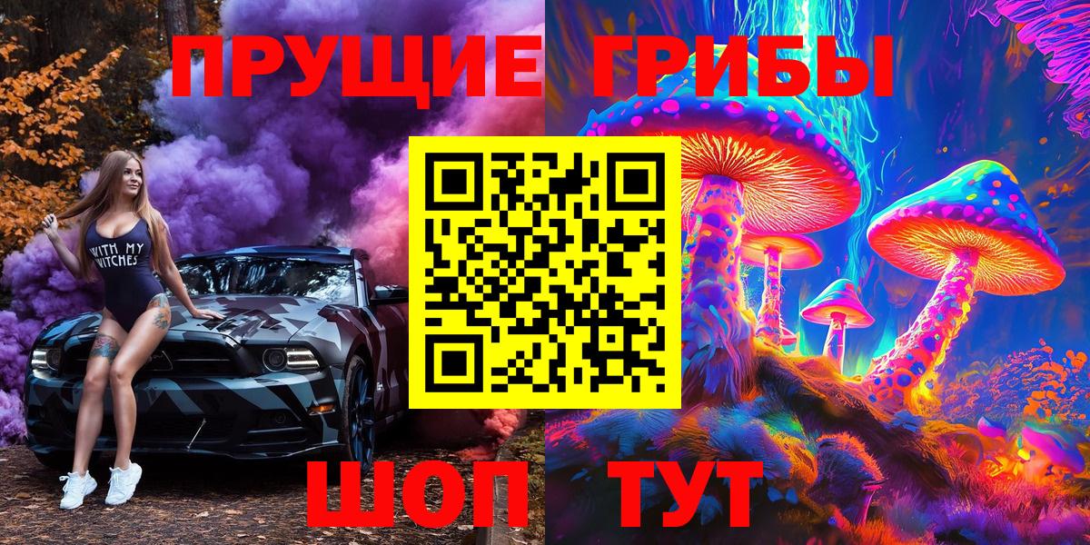 Псилоцибиновые грибы Psilocybe Белгород